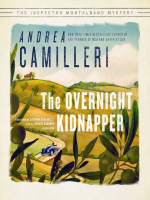 The_Overnight_Kidnapper